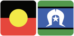 TwitterLaunches IndigenousEmoji.png.img.fullhd.medium