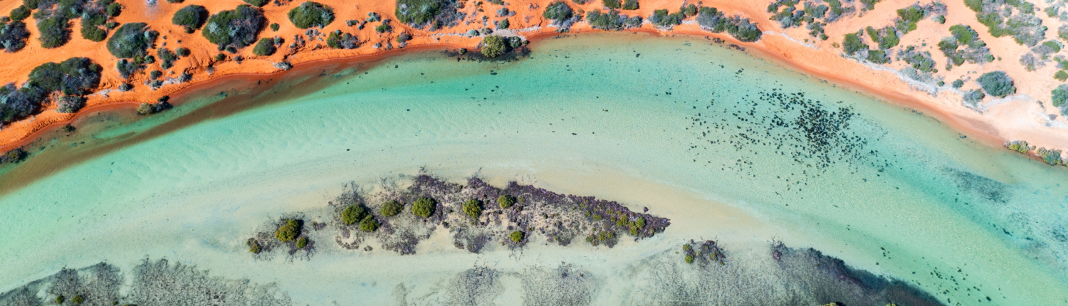 Aerial view of coast and tracks of Little Lagoon Creek around Denham at Shark Bay, Western Australia Aerial view of coast and tracks of Little Lagoon Creek around Denham at Shark Bay, Western Australia