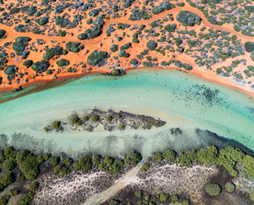 Aerial view of coast and tracks of Little Lagoon Creek around Denham at Shark Bay, Western Australia